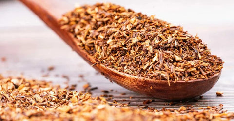 Rooibos Tee Wirkung unter der Lupe